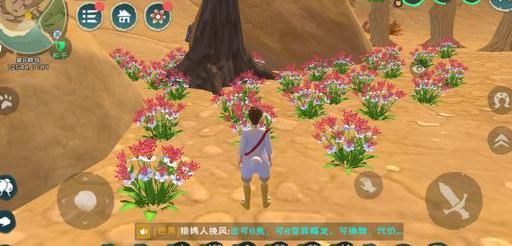 创造与魔法里哪里辣椒刷的最多